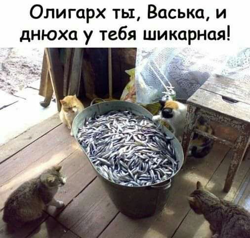Олигарх ты Васька и днюха у тебя шикарная