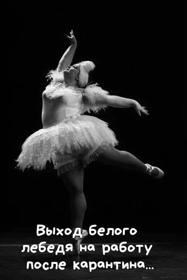 Выхо _ белого леЁЕдя а работу после карантине