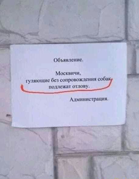 стишке Михин пи