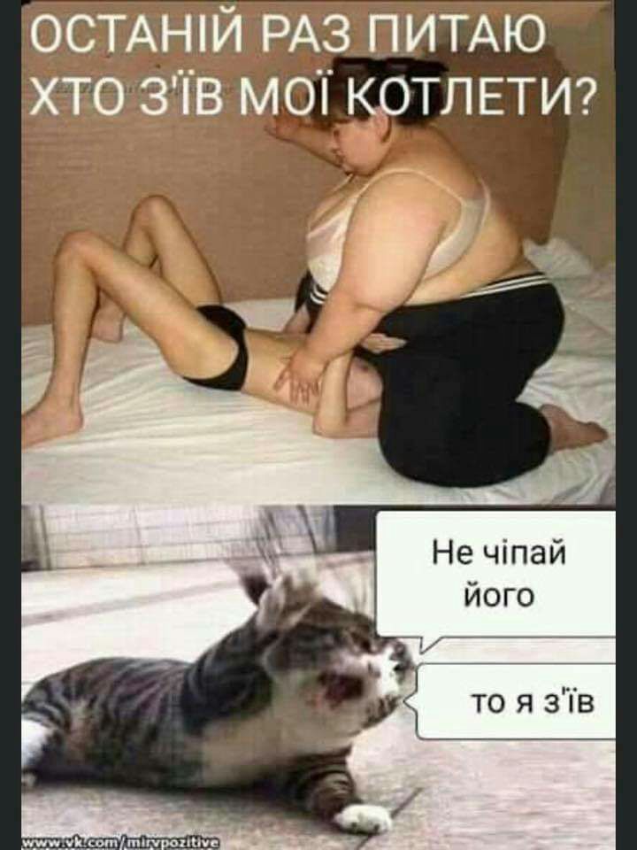 Не чіпай його то я зТв