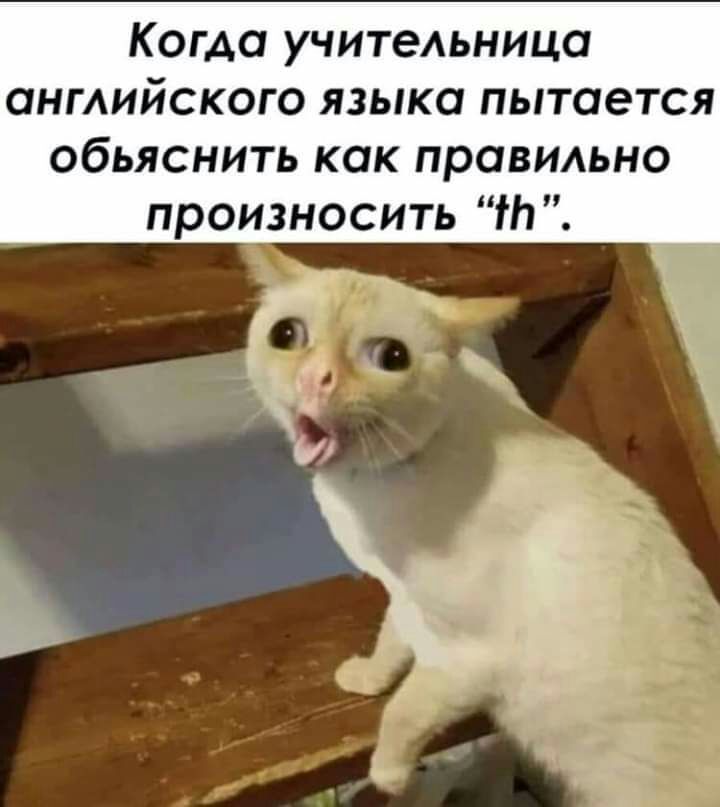 Когда учительница ангийского языка пытается обьяснить как прОВИАЬНО произносить т