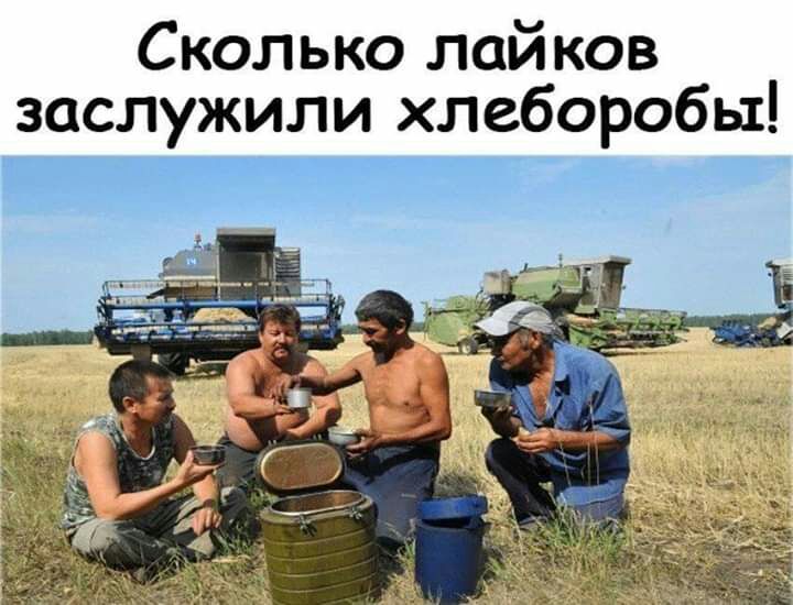 Сколько лайков заслужили хлеборобы