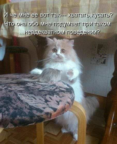ЭЗЁШГ ГЁН ЕХЁГГЁГГшл іу ЗГЬ ЦЗОШПЬ ПОДУШЁШГ ПРИ ГСЛ