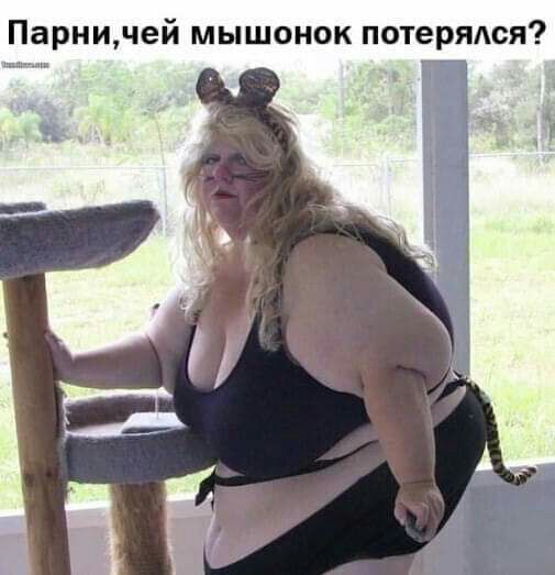 Парничей мышонок потерялся