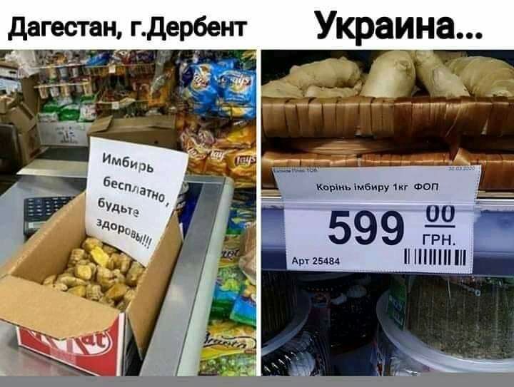 гестап гдербент м _ д Украина Коыиь мбиву Фоп 59 дт эзцвл
