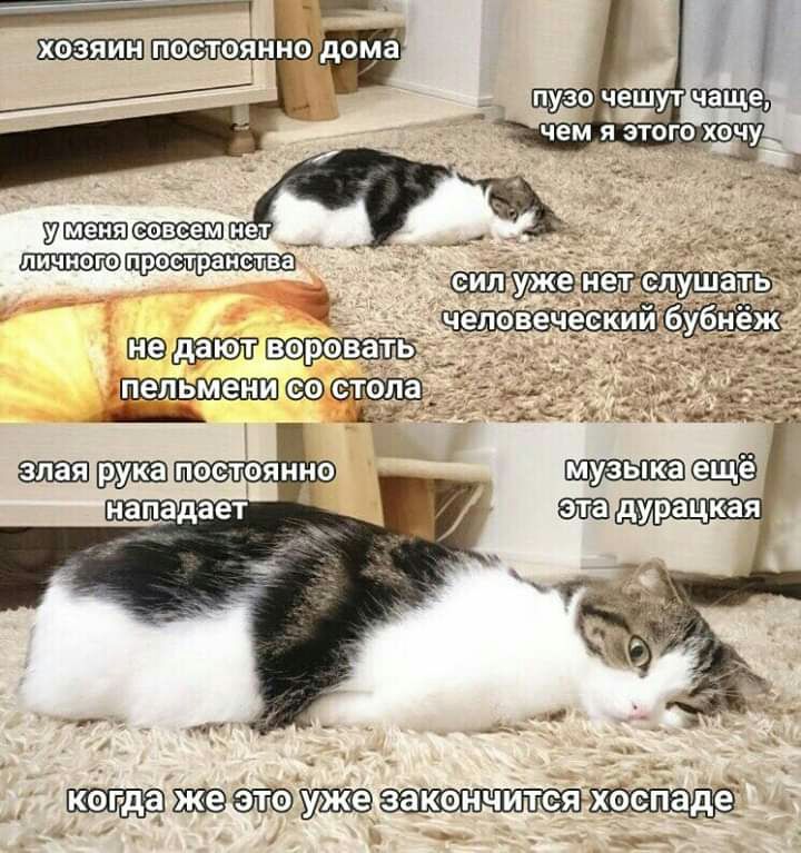 ППШЕХЕ _ __ Шёдают веравать дл рука постоянно Шэию