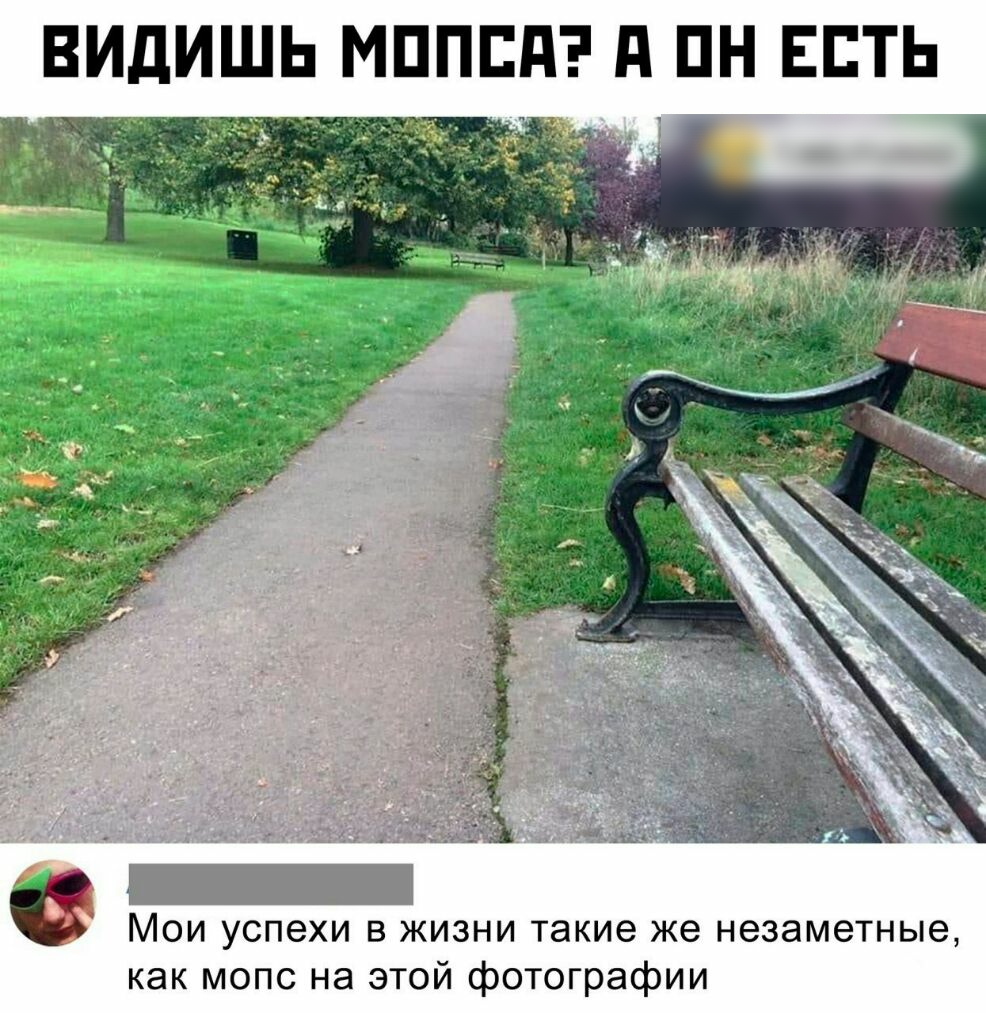 ВИДИШЬ МППЕП д ПН ЕСТЬ Мои успехи в жизни такие же незаметные как мопс на этой фотографии