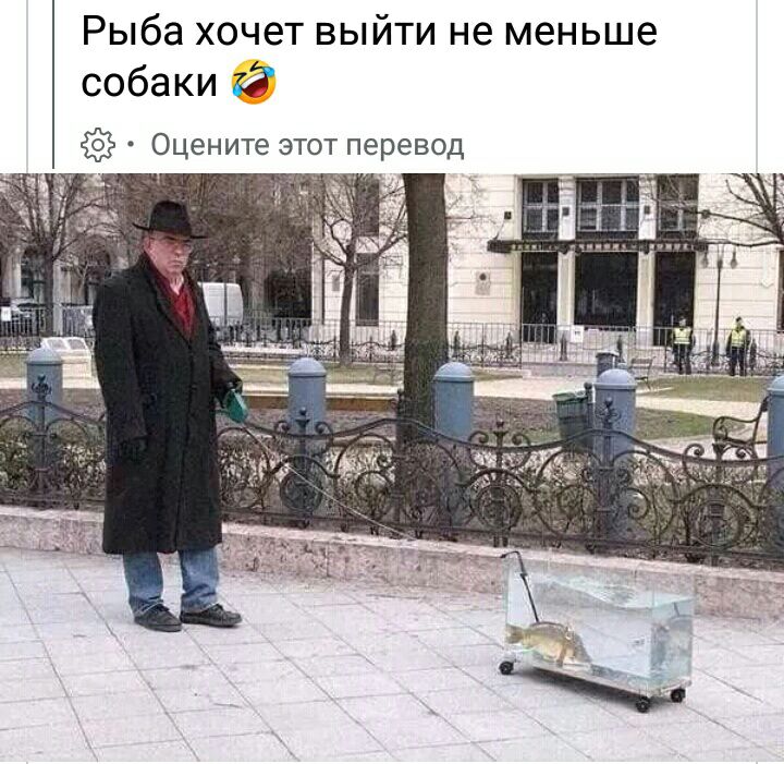 Рыба ХОЧЕТ ВЫЙТИ не меньше собаки