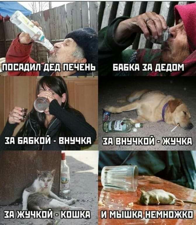 ЁПЕМИЛ дЕдПЕЧЕіЁ ЕПЕКП ЗП дЕдПМ