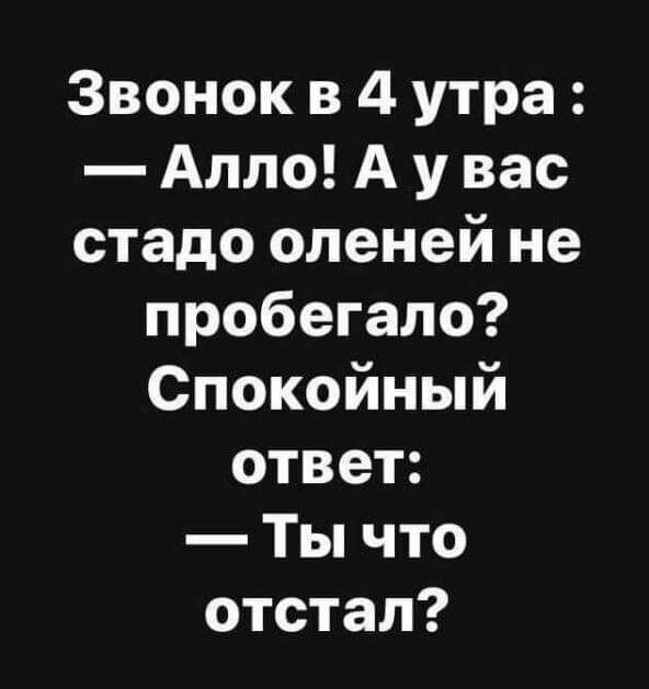 Звонок в 4 утра Алло А у вас стадо оленей не пробегало Спокойный ответ Ты что отстал