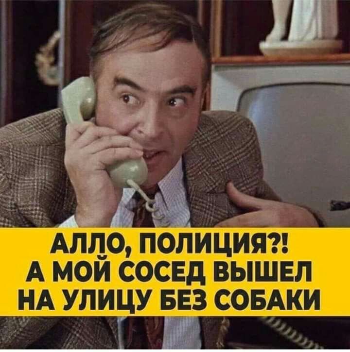 АЛЛО ПОЛИЦИЯ А МОИ СОСЕД ВЫШЕЛ НА УЛИЦУ БЕЗ СОБАКИ