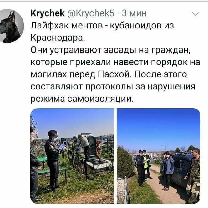 КгусЬеК КгусітеКБ 3 мин Лайфхак ментов кубаноидов из Краснодара Они устраивают засады на граждан которые приехали навести порядок на могилах перед Пасхой После этого составляют протоколы за нарушения режима самоизоляции