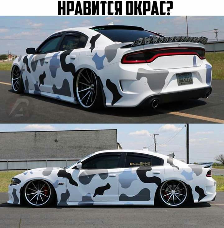 НРАВИТЕЯ ПКРАЕ