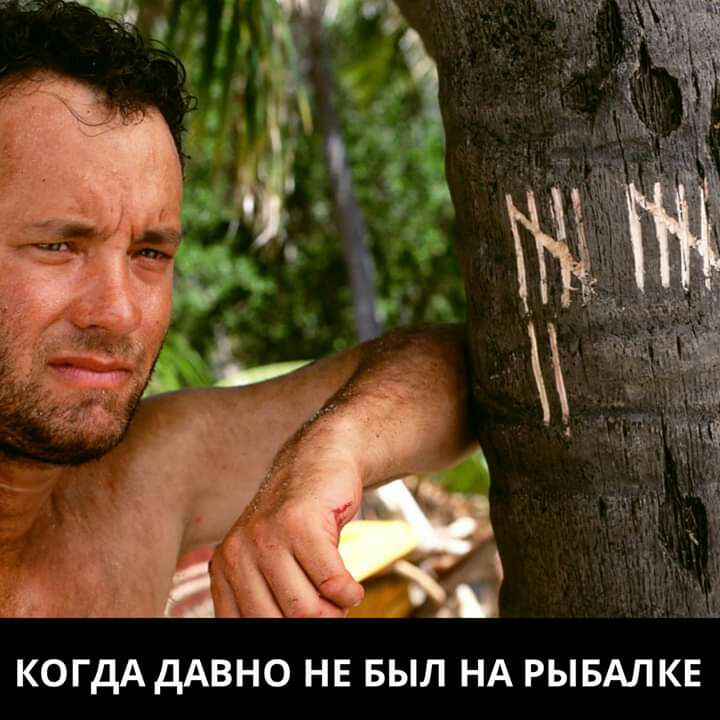 когдА дАвно не БЫЛ НА РЫБАЛКЕ