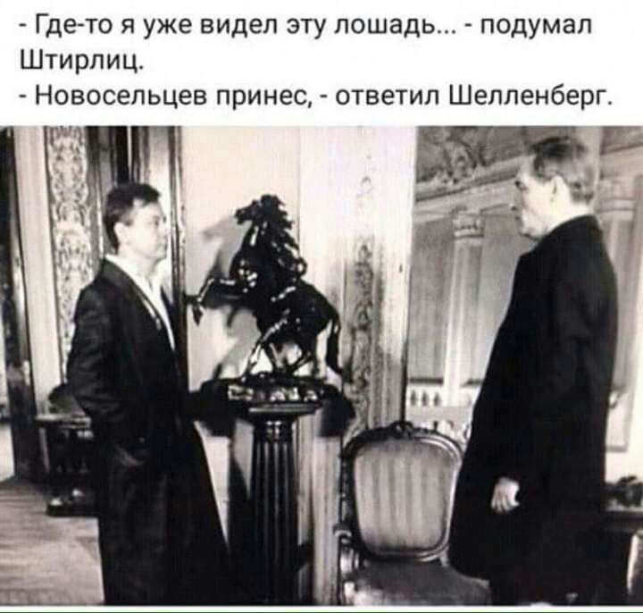 Где то я уже видел эту лошадь подумал Штирлиц Новосельцев принес ответил Шелленберг а д