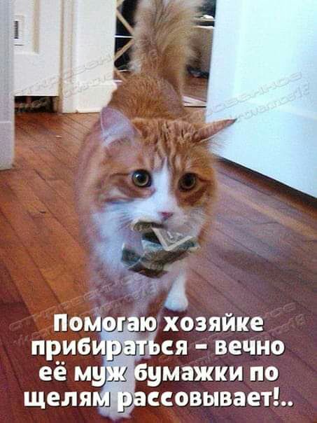 Пом ю хозяйке приб _ ся вечно её м умажки по щеля ссовывает