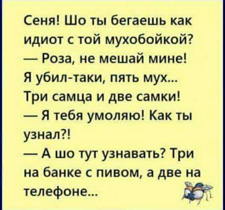 Сеня Шо ты бегаешь как идиот с той мухобойкой Роза не мешай мине Я убилтаки пять мух Три самца и две самки Я тебя умоляю Как ты узнал А шо тут узнавать Три на банке с пивом а две на телефоне ЁЁ