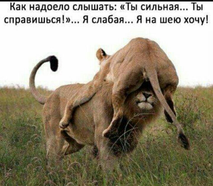 Как надоело слышать Ты сильная Ты справишься Я слабая Я на шею хочу