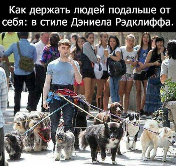 Как держать людей подальше от себя в стиле Дэниела Рэдклиффа