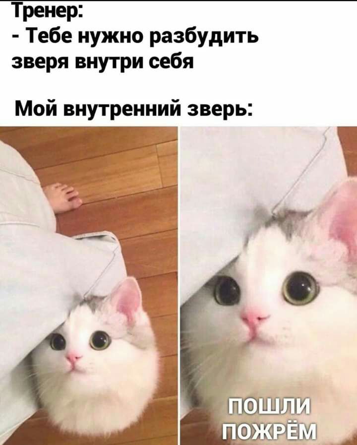 ренер Тебе нужно разбудить зверя внутри себя Мой внутренний зверь