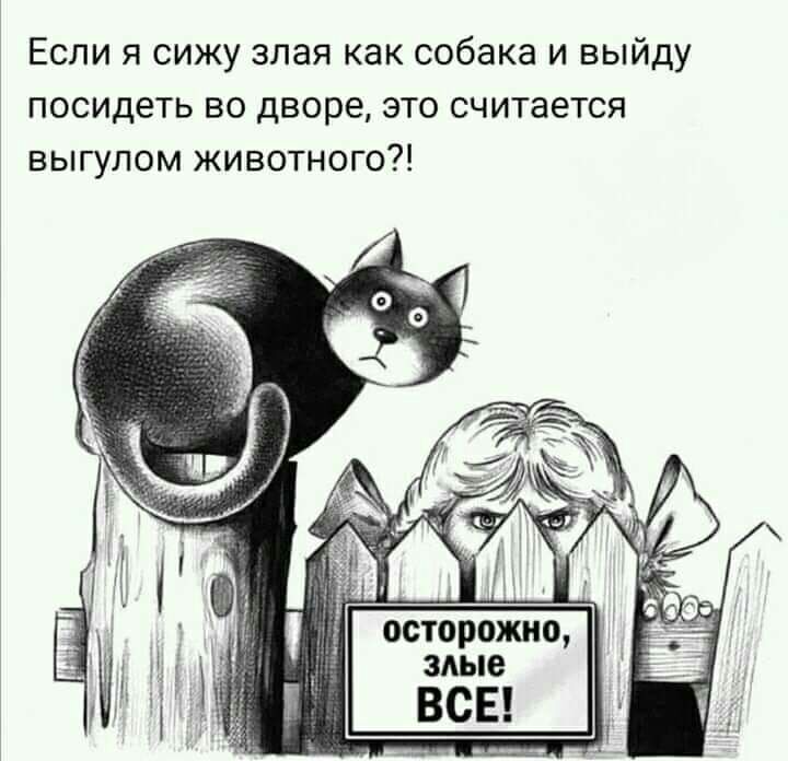 Если я сижу злая как собака и выйду посидеть во дворе это считается выгупом животного осторожно злые