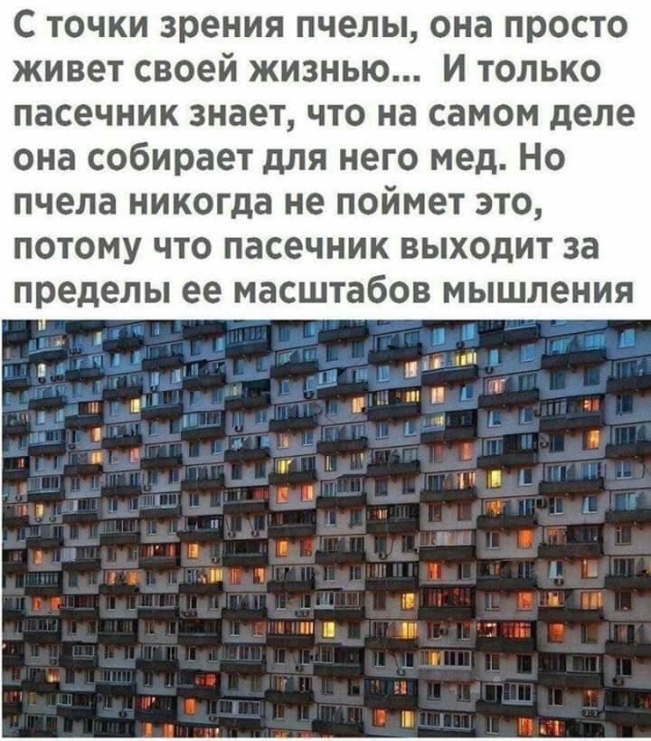 С точки зрения пчелы она просто живет своей жизнью И только пасечник знает что на самом деле она собирает для него мед Но пчела никогда не поймет это потому что пасечник выходит за