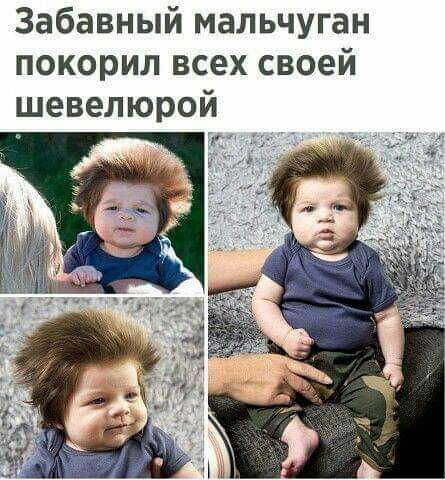 Забавный мальчуган покорил всех своей шевелюрой