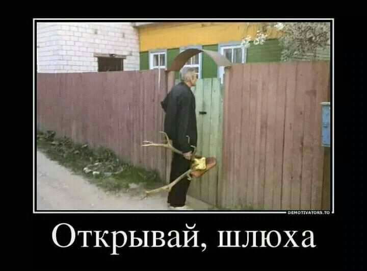 Открывай шлюха