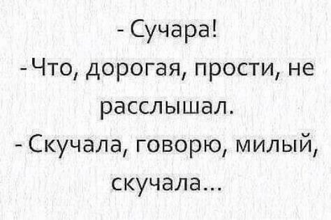 Сучара Что дорогая прости не расслышал Скучала говорю милый скучала