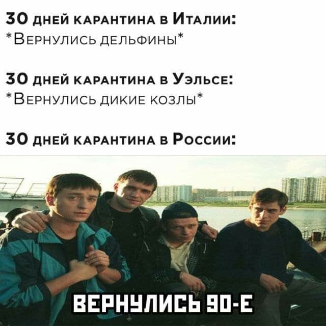 30 дней КАРАНТИНА в Индии ВЕРНУЛИСЬДЕЛЬФИНЬ 30 дней КАРАНТИНА в Уэльсе Вернулись дикив козлы 30 днгй КАРАНТИНА в России 4 ВЕРННПИЕЬ БП Е