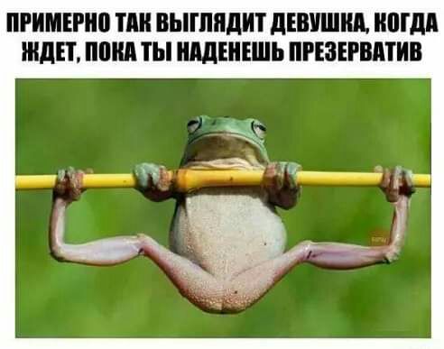 ПРИЦЕП Ші ВЫПШШП ШШШ ШМ ШП ШШШ ТЫ ЩЕИЕШЬ ПРЕЗЕРМТИВ
