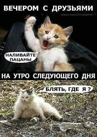 ВЕЧЕРОМ С дРУЗЬЯМИ