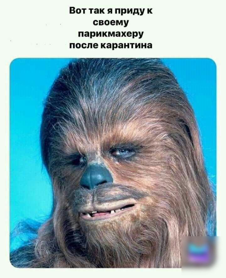 Вот так я приду к своему парикмахеру после карантина