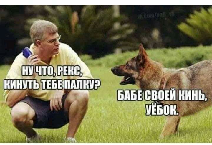 А фид Ёшкин Т ШИШПЬ ПБ мини 7 мвцевоій нинь А иЕБви