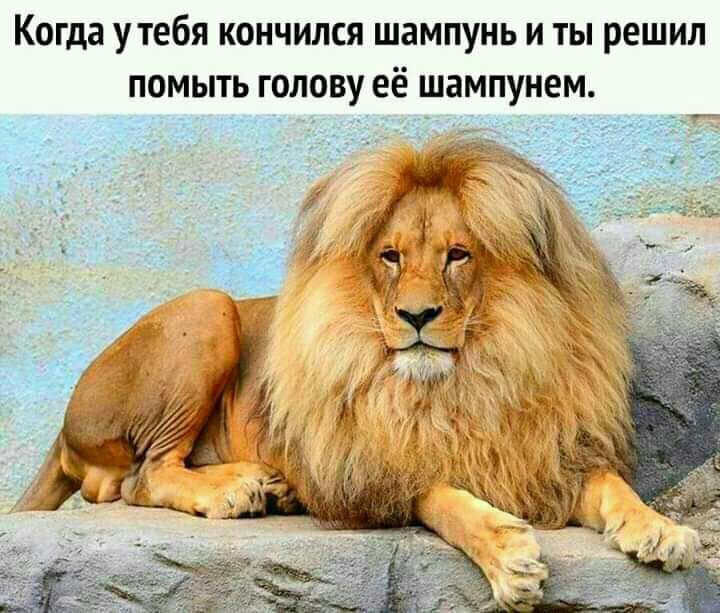 Когда утебя кончился шампунь и ты решил помыть голову её шампунем