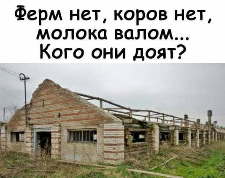 Ферм нет коров нет молока валом Кого они доят