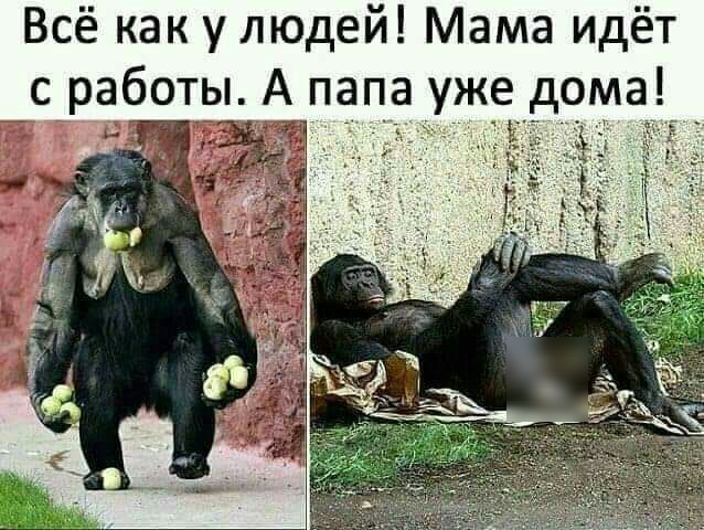 Всё как у людей Мама идёт с работы А папа уже дома Ъ