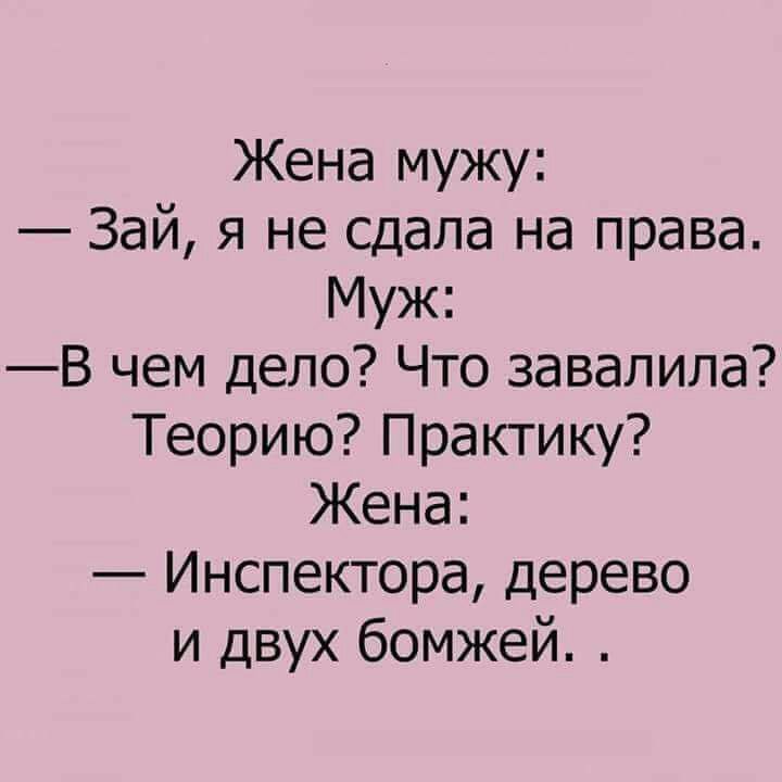 Жена мужу Зай я не сдала на права Муж В чем дело Что завалила Теорию Практику Жена Инспектора дерево и двух бомжей