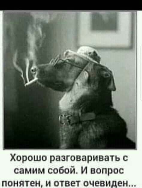 Хорошо разговаривать с самим собой И вопрос понятен и ответ очевиден