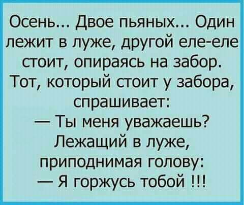 Осень Двое пьяных Один лежит в луже другой еле еле стоит опираясь на забор Тот который стоит у забора спрашивает Ты меня уважаешь Лежащий в луже приподнимая голову Я горжусь тобой