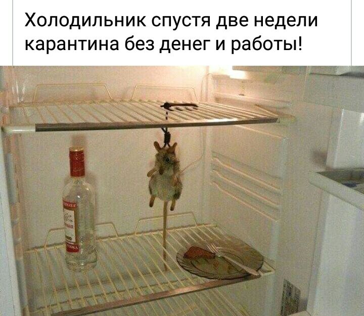 Холодильник спустя две недели карантина без денег и работы