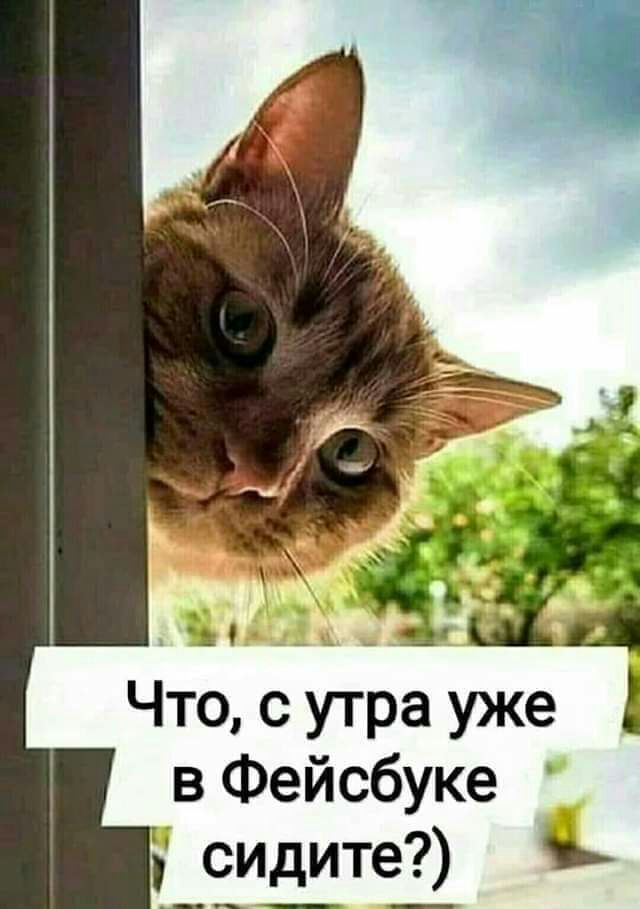 Что с утра уже в Фейсбуке