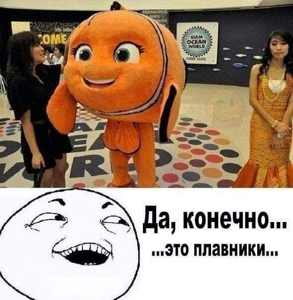 ё да конечно это плавники