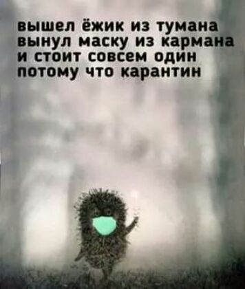 ЦШВЛ ёжик ИЗ туман рниул маску из карп и стоит совсем один ъпотому что карантин