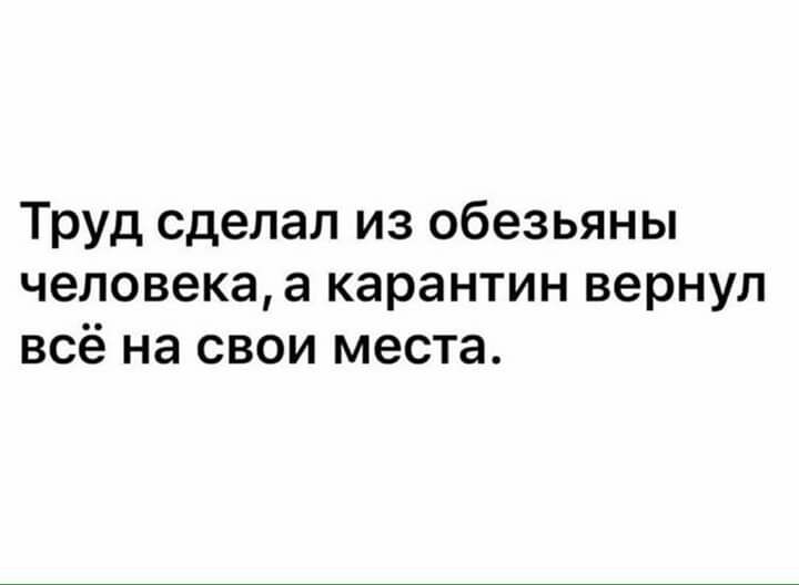 Труд сделал из обезьяны человекаа карантин вернул всё на свои места