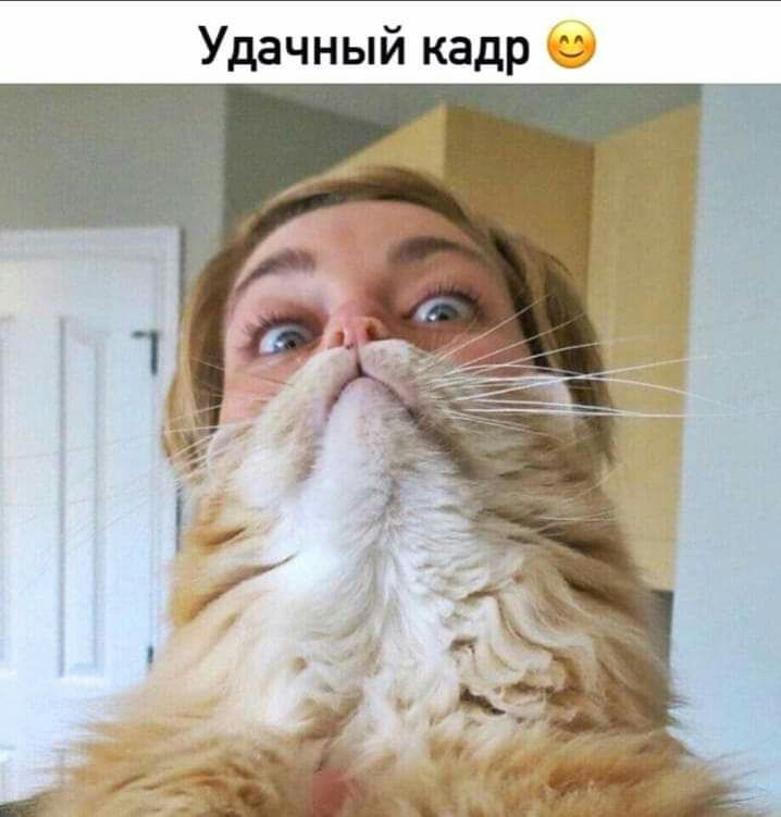 Удачный кадр 3