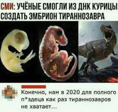 СМИ УЧЁНЫЕ СМПГЛИ ИЗ ЦНК КУРИЦЫ СПЗЦАТЬ ЗМБРИОН ТИРАННПЗАВРА ч 1 т _ Конечно нам в 2020 для полного пздеца как раз тиражнозавроа не хватает