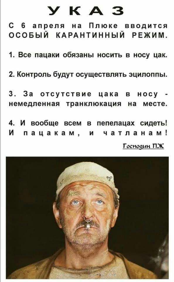 УКАЗ С 6 апреля на Ппюке вводится осовый КАРАНТИННЫЙ режим 1 Все пацаки обязаны носить в носу цак 2 Контроль будут осуществлять зципоппы 3 За отсутствие цака в носу немедленная транкпюкация на месте 4 И вообще всем в пепелацах сидеть И пацакам и чатланам Господин ПХ