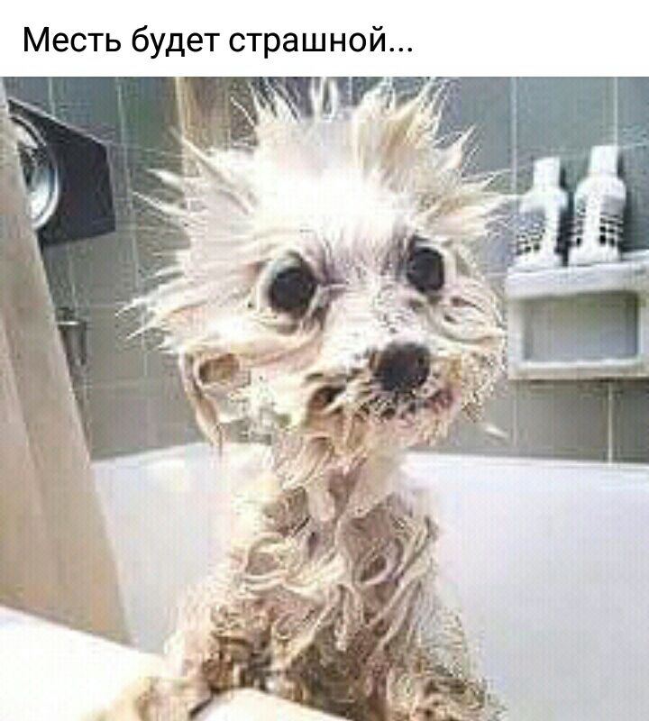 Месть будет страшной