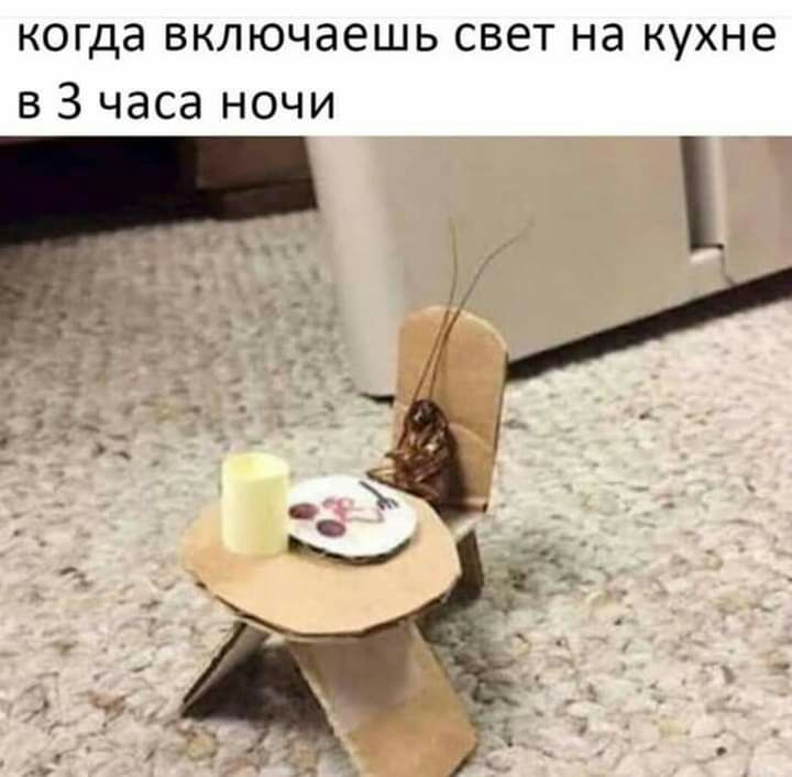 когда включаешь свет на кухне в 3 часа ночи